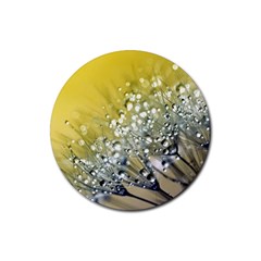 Dandelion 2015 0713 Rubber Coaster (round) 