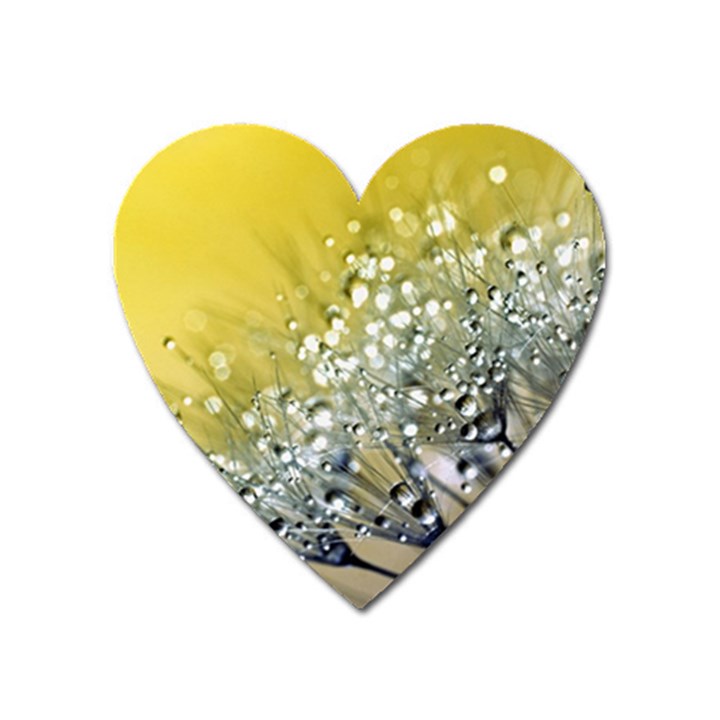 Dandelion 2015 0713 Heart Magnet