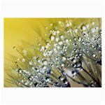 Dandelion 2015 0713 Large Glasses Cloth (2-Side) Front