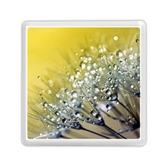 Dandelion 2015 0713 Memory Card Reader (square)  by JAMFoto