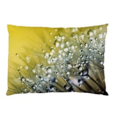 Dandelion 2015 0713 Pillow Cases (two Sides)