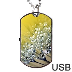 Dandelion 2015 0713 Dog Tag Usb Flash (two Sides)  by JAMFoto