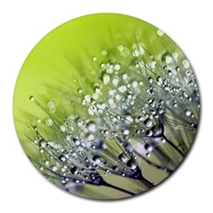 Dandelion 2015 0714 Round Mousepads