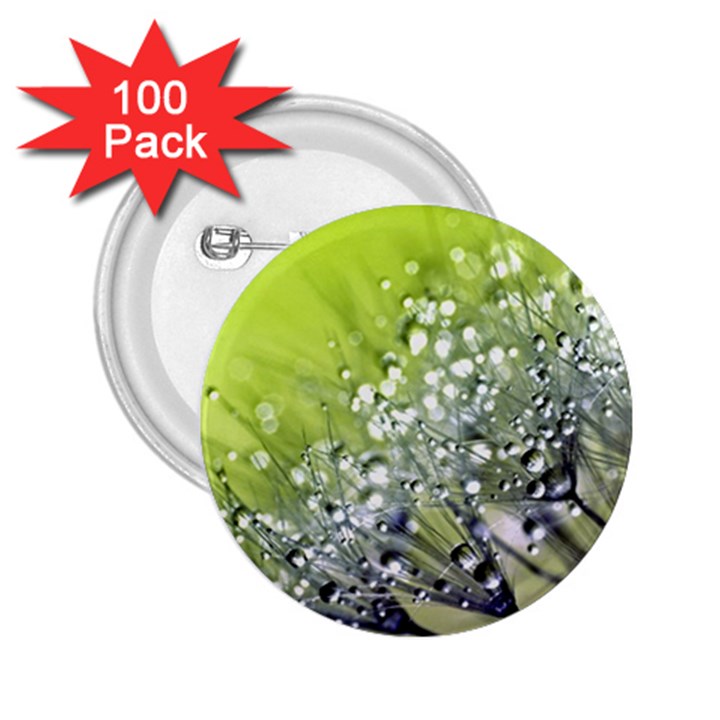 Dandelion 2015 0714 2.25  Buttons (100 pack) 