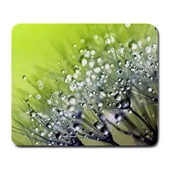 Dandelion 2015 0714 Large Mousepads