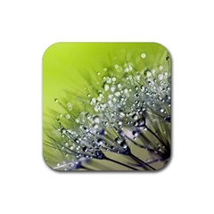 Dandelion 2015 0714 Rubber Coaster (square) 