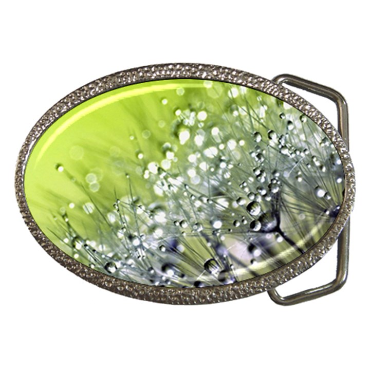 Dandelion 2015 0714 Belt Buckles