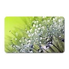 Dandelion 2015 0714 Magnet (rectangular)