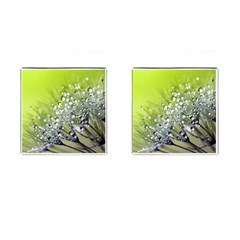 Dandelion 2015 0714 Cufflinks (square)