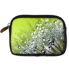 Dandelion 2015 0714 Digital Camera Cases by JAMFoto