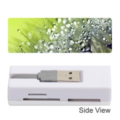 Dandelion 2015 0714 Memory Card Reader (stick) 