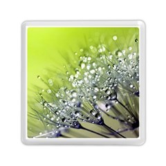 Dandelion 2015 0714 Memory Card Reader (square) 