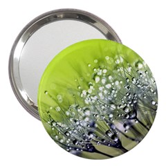 Dandelion 2015 0714 3  Handbag Mirrors