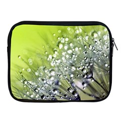 Dandelion 2015 0714 Apple Ipad 2/3/4 Zipper Cases by JAMFoto