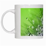 Dandelion 2015 0715 White Mugs Left