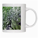 Dandelion 2015 0715 White Mugs Right