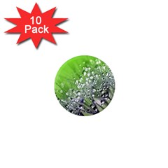 Dandelion 2015 0715 1  Mini Magnet (10 Pack) 