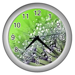 Dandelion 2015 0715 Wall Clocks (silver) 