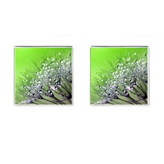 Dandelion 2015 0715 Cufflinks (square) by JAMFoto