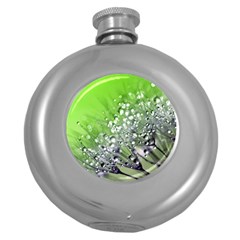 Dandelion 2015 0715 Round Hip Flask (5 Oz) by JAMFoto