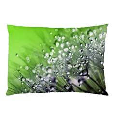 Dandelion 2015 0715 Pillow Cases