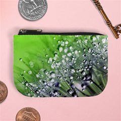 Dandelion 2015 0715 Mini Coin Purses by JAMFoto