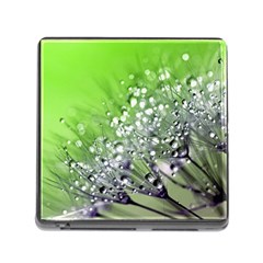 Dandelion 2015 0715 Memory Card Reader (square)