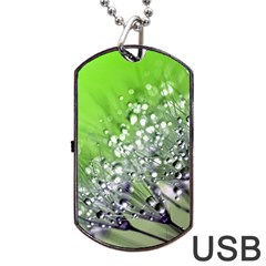 Dandelion 2015 0715 Dog Tag Usb Flash (two Sides)  by JAMFoto