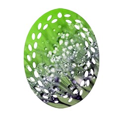 Dandelion 2015 0715 Oval Filigree Ornament (2-side) 