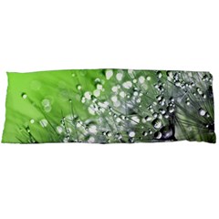 Dandelion 2015 0715 Body Pillow Cases (dakimakura)  by JAMFoto