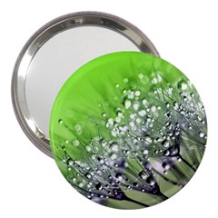 Dandelion 2015 0715 3  Handbag Mirrors