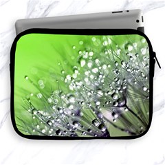 Dandelion 2015 0715 Apple Ipad 2/3/4 Zipper Cases by JAMFoto