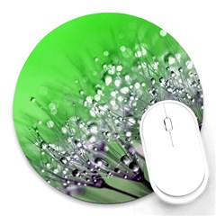 Dandelion 2015 0716 Round Mousepads by JAMFoto