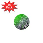 Dandelion 2015 0716 1  Mini Buttons (10 pack)  Front