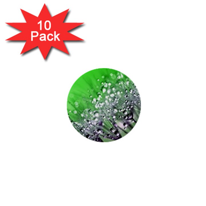 Dandelion 2015 0716 1  Mini Buttons (10 pack) 