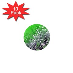 Dandelion 2015 0716 1  Mini Magnet (10 Pack)  by JAMFoto