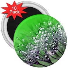 Dandelion 2015 0716 3  Magnets (10 Pack) 