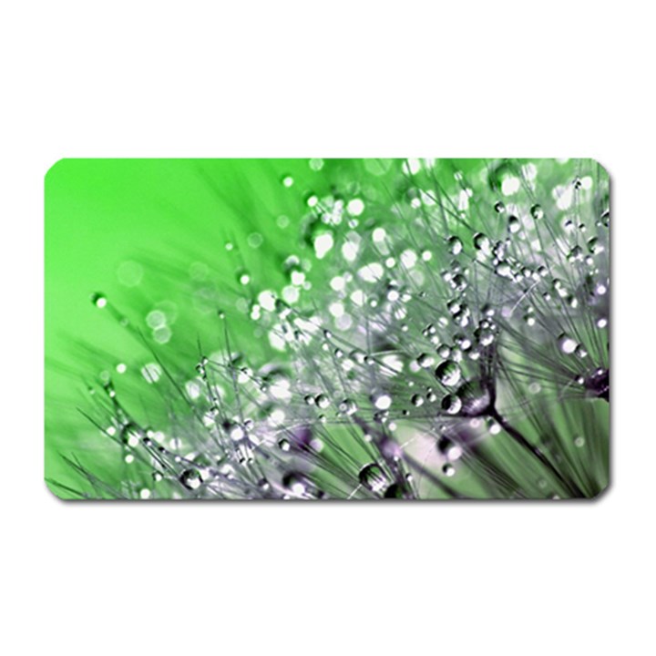 Dandelion 2015 0716 Magnet (Rectangular)