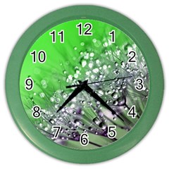 Dandelion 2015 0716 Color Wall Clocks