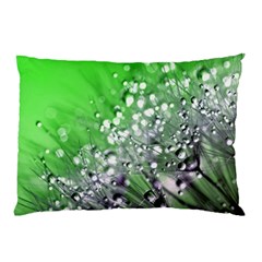 Dandelion 2015 0716 Pillow Cases