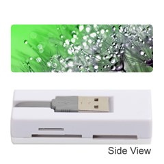 Dandelion 2015 0716 Memory Card Reader (stick) 