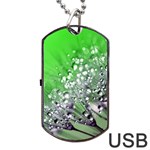 Dandelion 2015 0716 Dog Tag USB Flash (One Side) Front