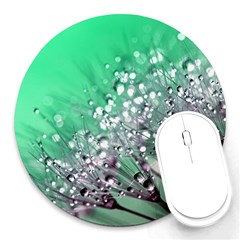 Dandelion 2015 0718 Round Mousepads by JAMFoto