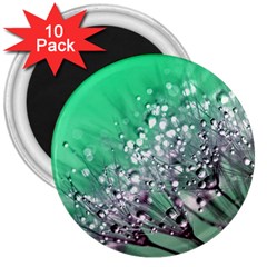 Dandelion 2015 0718 3  Magnets (10 Pack) 