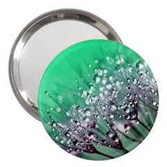 Dandelion 2015 0718 3  Handbag Mirrors