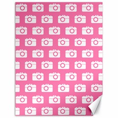 Pink Modern Chic Vector Camera Illustration Pattern Canvas 18  X 24   by GardenOfOphir