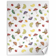 Mushrooms Pattern Canvas 18  X 24   by Famous