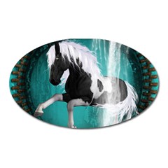 Beautiful Horse With Water Splash  Oval Magnet