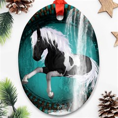 Beautiful Horse With Water Splash  Oval Ornament (two Sides)