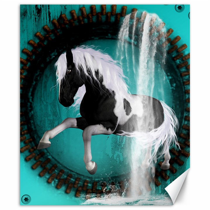 Beautiful Horse With Water Splash  Canvas 20  x 24  